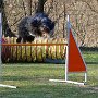 Wie es aussieht, will Jambo hoch hinaus :-)))